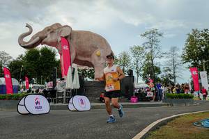 BIB: 
                            <button type="button" onclick="openModal(26528843)" class="btn btn-primary btn-sm float-right btn-popup" data-toggle="modal" data-target=".modal-high-quality">
                        <i class="fas fa-shopping-cart"></i> Add to Cart
                    </button>
                                            <button type="button" onclick="isThisMe(26528843, true)" class="btn btn-success btn-sm float-right btn-popup btn-isme hidden" data-toggle="tooltip" data-placement="bottom" title="นี่คือรูปของคุณใช่ไหม คลิกที่นี่เพื่อเอาเข้าอัลบั้ม">
                        <i class="fas fa-plus"></i> Add to album
                    </button>
                    <button type="button" onclick="isThisMe(26528843, false)" class="btn btn-warning btn-sm float-right btn-popup btn-isnotme hidden">
                        <i class="fas fa-ban"></i> Remove from album
                    </button>